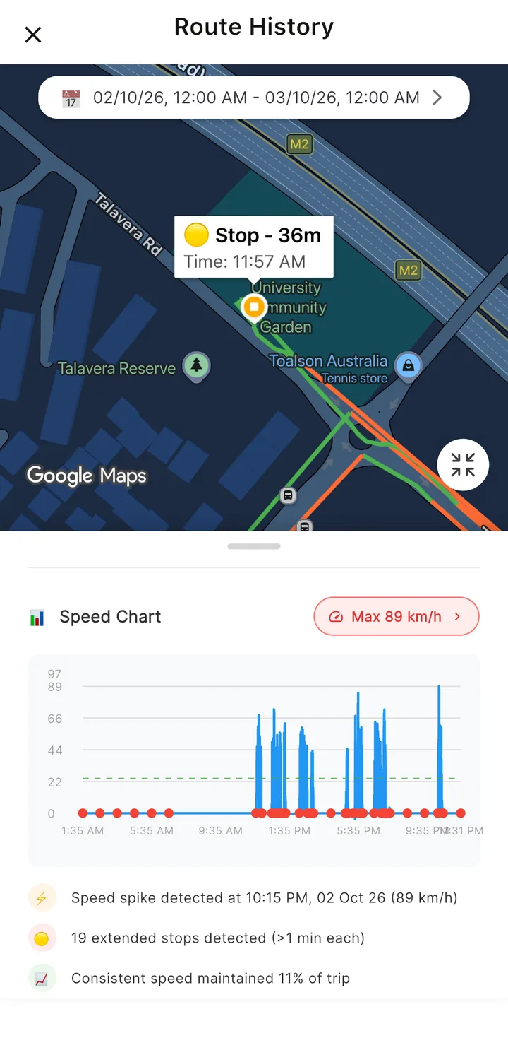 Finder GPS speed chart and trip insights